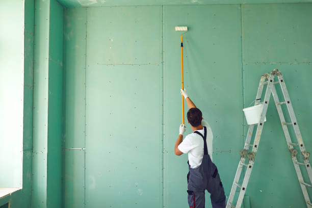 Best Mold Remediation for Rental Properties  in Seneca, IL
