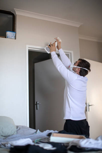 Best Asbestos and Lead Testing During Mold Inspection  in Seneca, IL