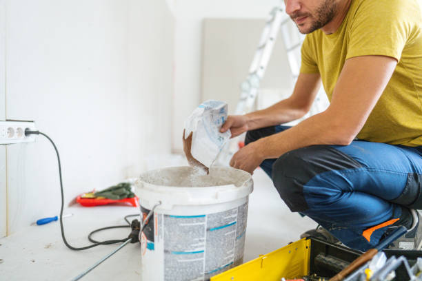 Best Mold Removal for HVAC Installations  in Seneca, IL
