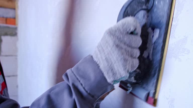 Best Mold Damage Restoration  in Seneca, IL