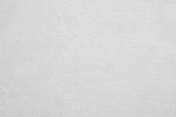 Best Basement Mold Removal  in Seneca, IL