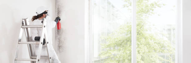 Best Mold Remediation for Healthcare Facilities  in Seneca, IL