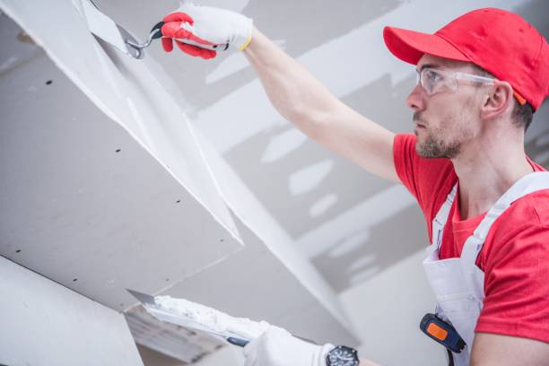 Seneca, IL Mold Removal Company